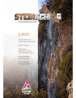 STEINSCHLAG_2021-3_webopt