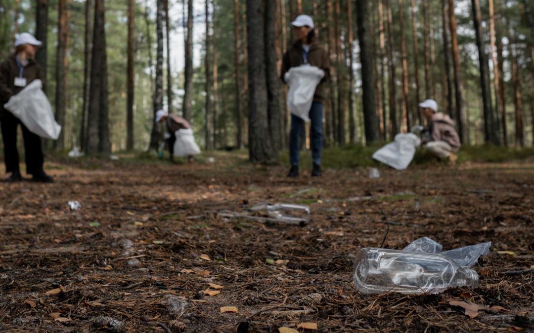 World Cleanup Day am Samstag